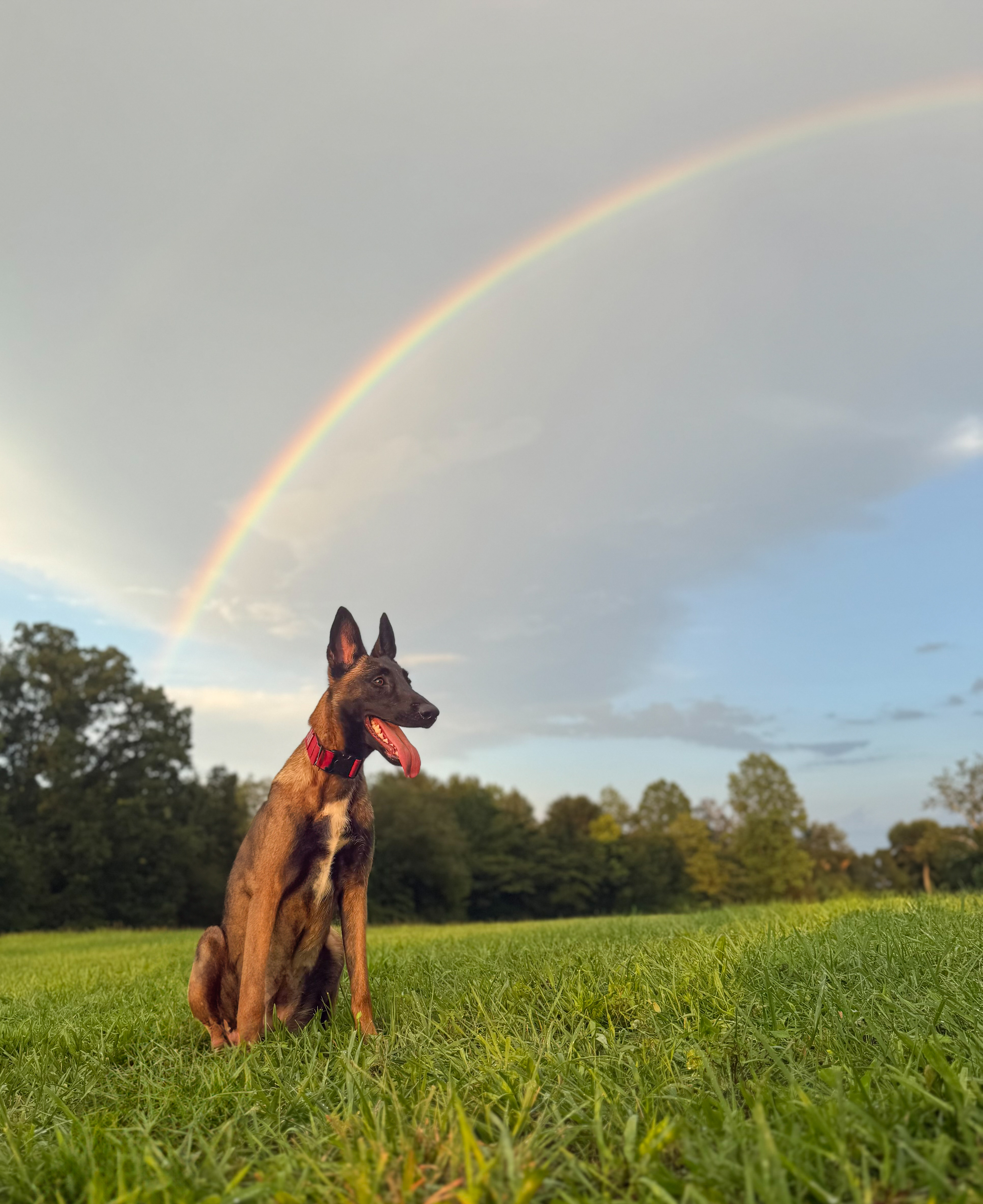 Behavior Modification